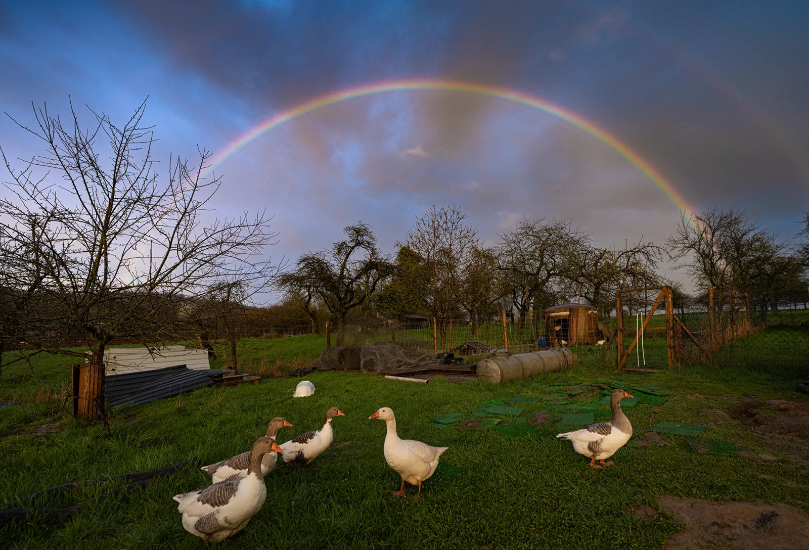 Kreis-Anzeiger: „Auf der Farm fürs Leben lernen“