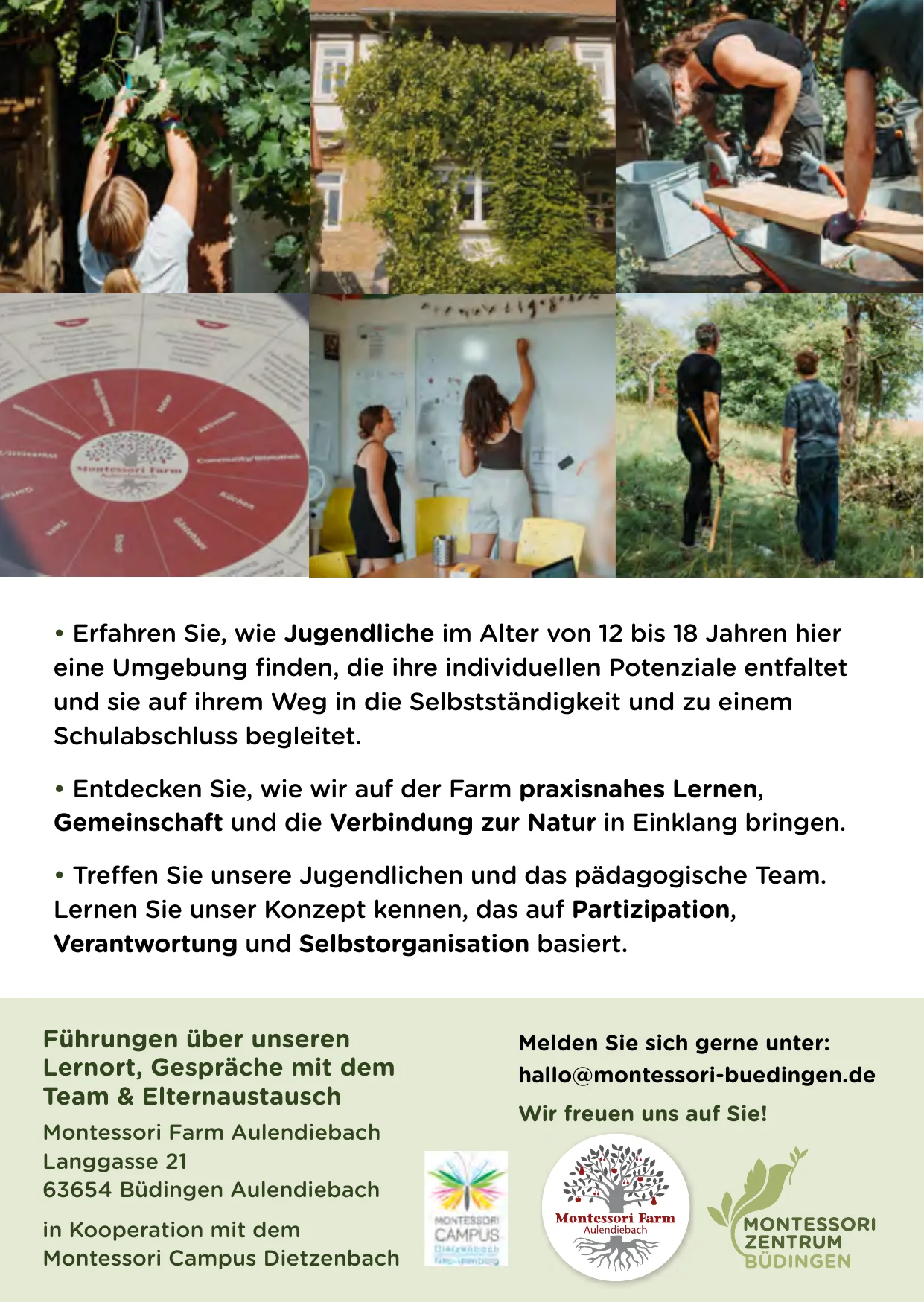 Flyer Rückseite: Programm, Adresse und Kontakt zum Tag der offenen Tür